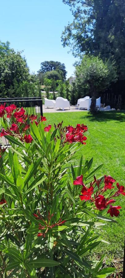 Villa Destiny Nedescina, Istrien, Kroatien Kültér fotó