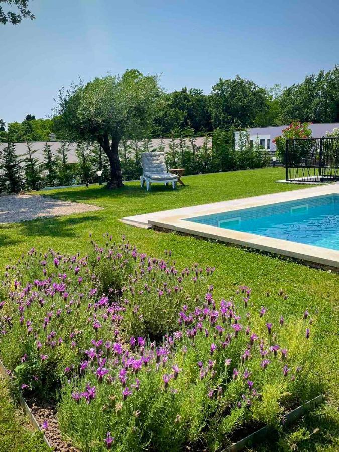 Villa Destiny Nedescina, Istrien, Kroatien Kültér fotó